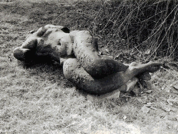 Weiblicher Torso